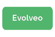 Ремонт экшен-камер Evolveo