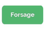 Ремонт электросамокатов Forsage