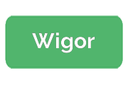 Ремонт телефонов Wigor